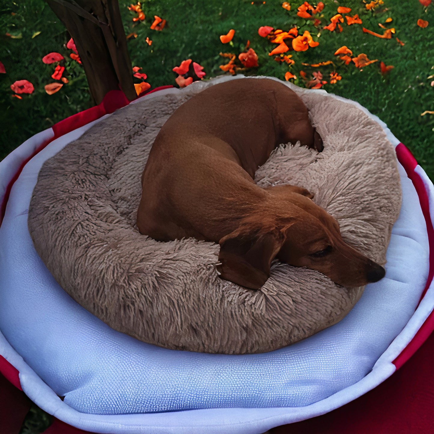 Paw Pals Calming Cushion